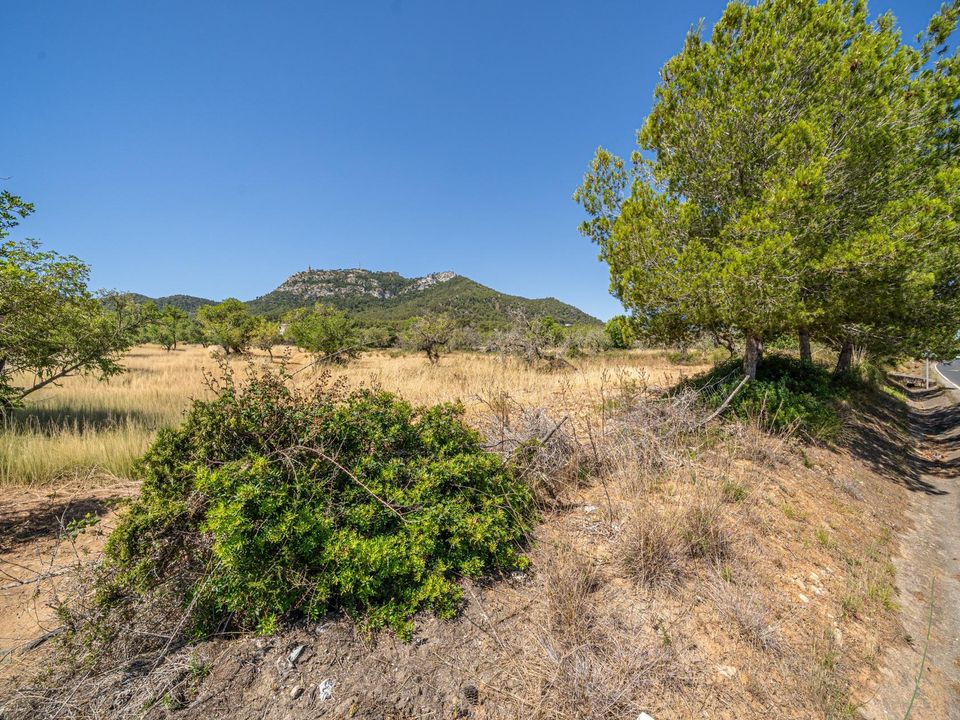 Helårsgrund i Felanitx, Mallorca - foto 2