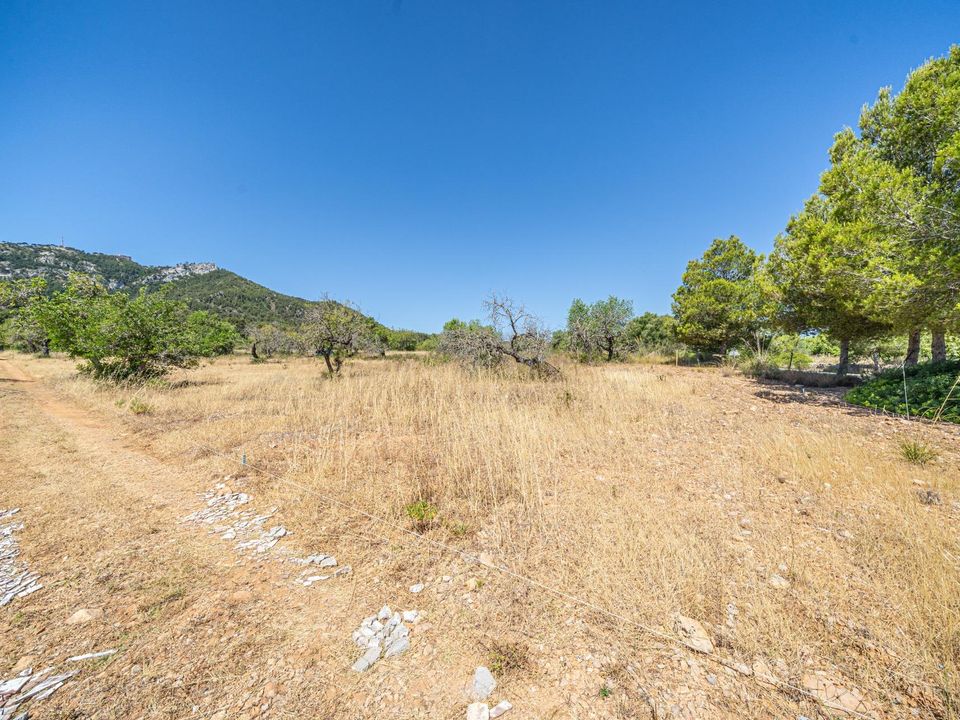 Helårsgrund i Felanitx, Mallorca - foto 3