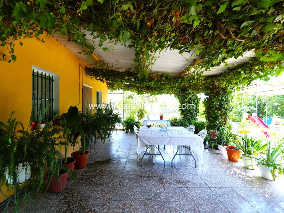 Casa de campo en Albatera, Alicante - foto 3