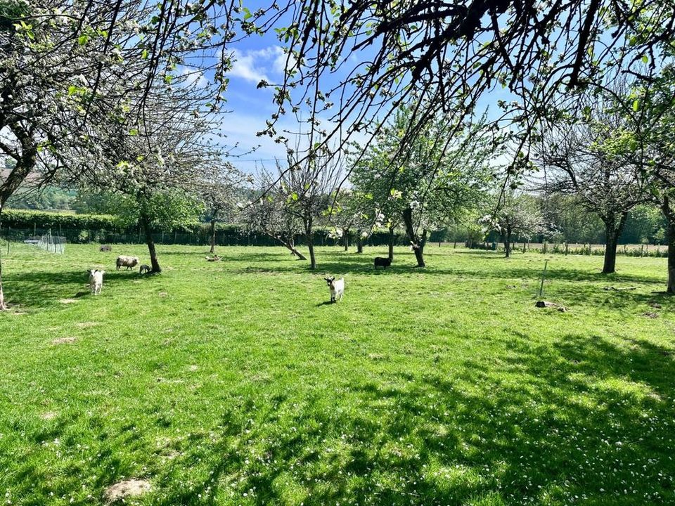 Villa a Champ-du-Boult, Calvados - foto 4