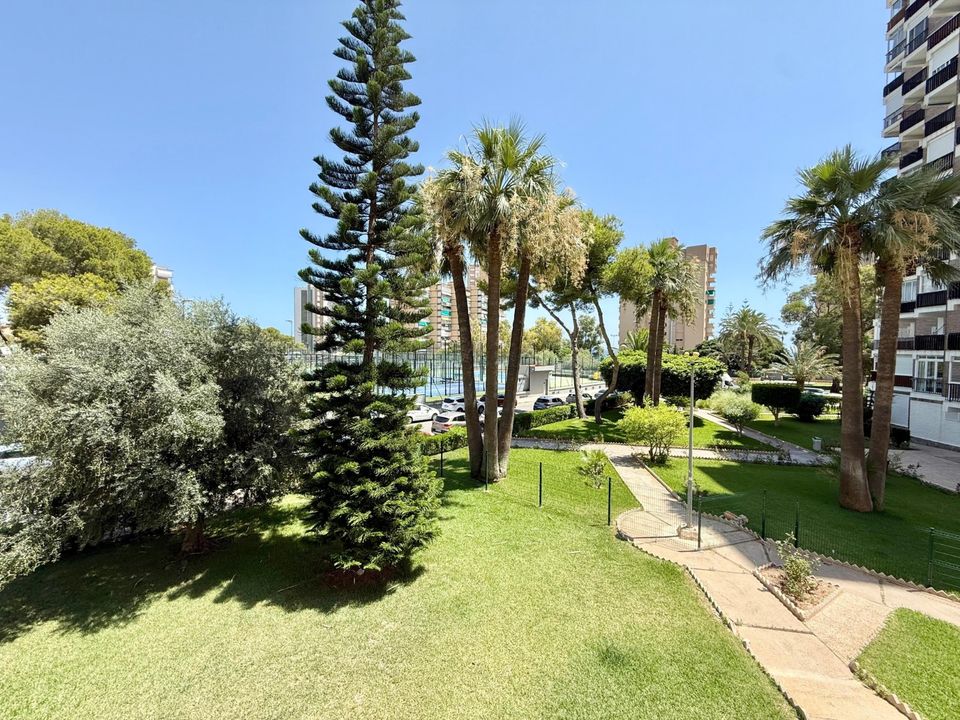 Studio i Orihuela Costa, Alicante - foto 2