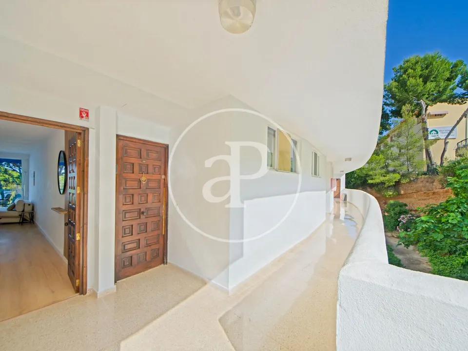 Apartment in Calvia, Mallorca - photo 2