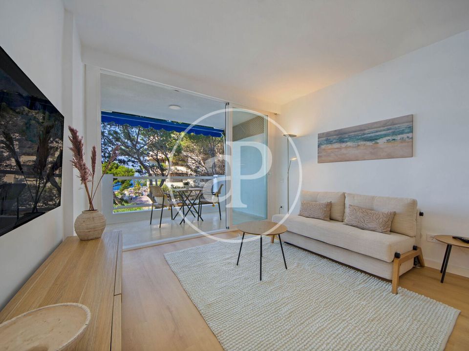 Apartment in Calvia, Mallorca - photo 4