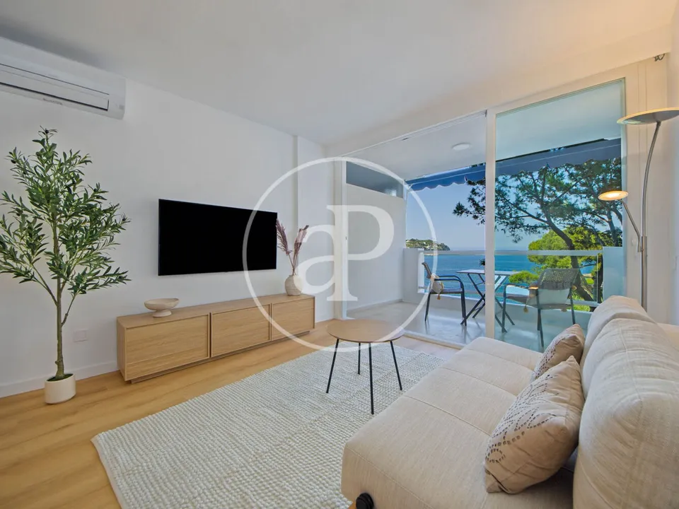 Apartment in Calvia, Mallorca - photo 5