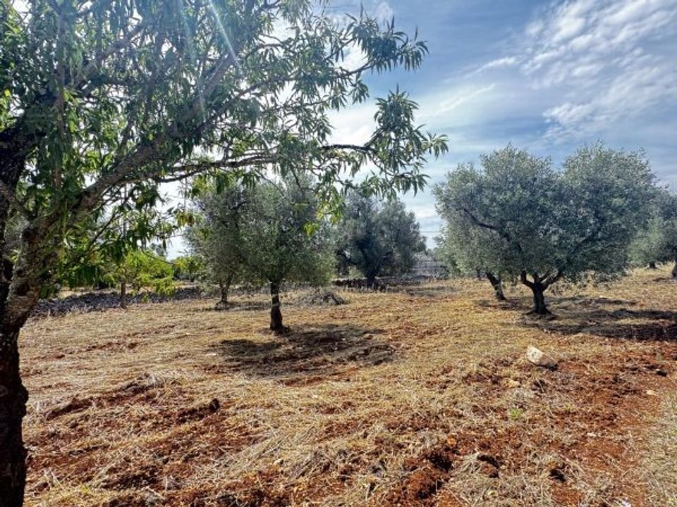 Helårsgrund i Carovigno, Brindisi - foto 3