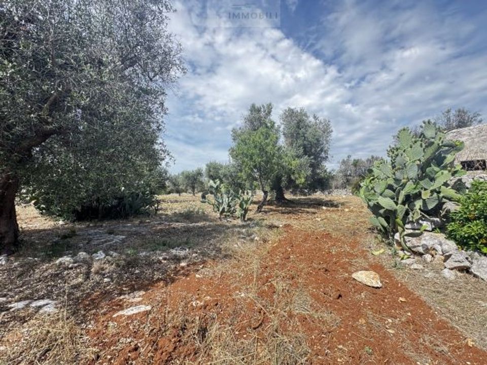 Helårsgrund i Carovigno, Brindisi - foto 5