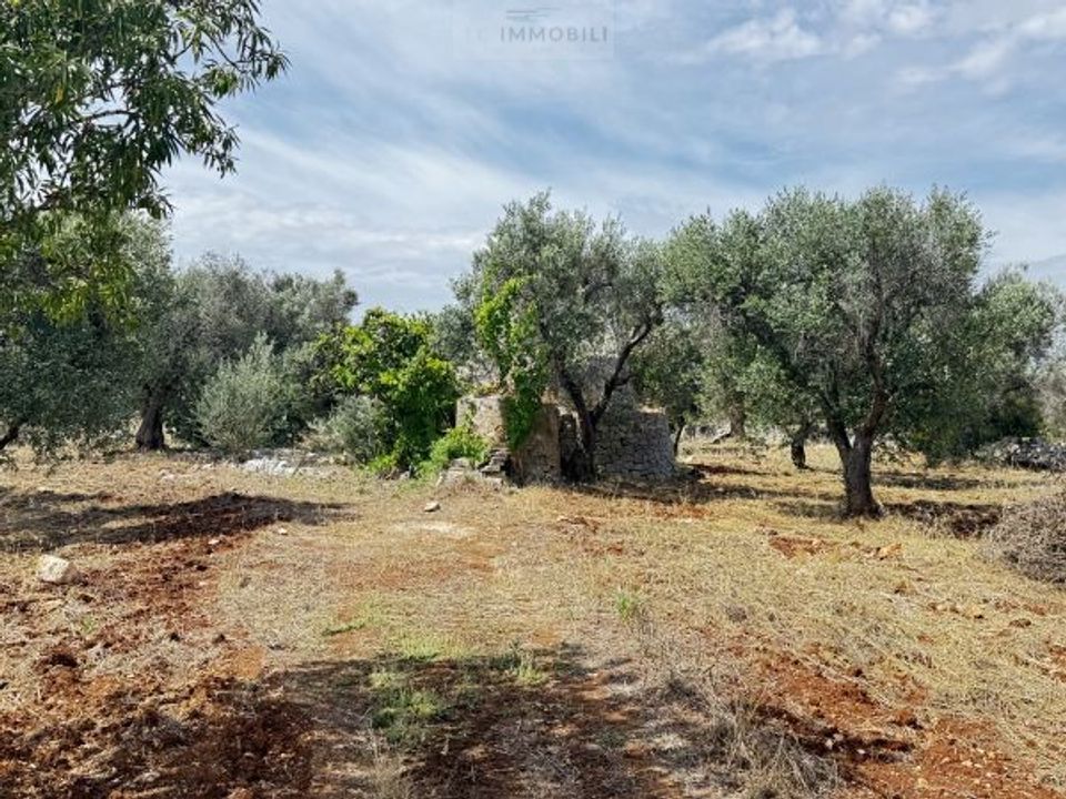 Helårsgrund i Carovigno, Brindisi - foto 2