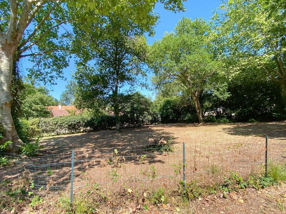 Terra em Messanges, Landes - foto 2