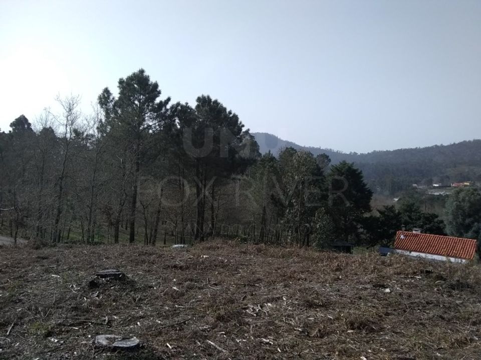 Helårsgrund i Viana do Castelo, Viana do Castelo - foto 4