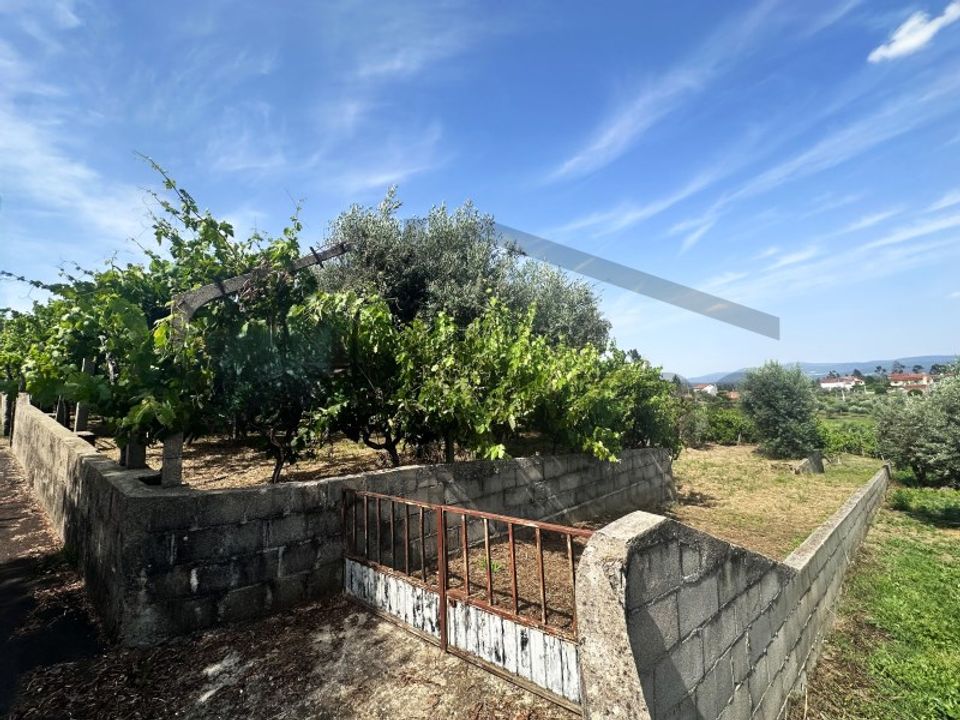 Helårsgrund i Serta, Castelo Branco - foto 3