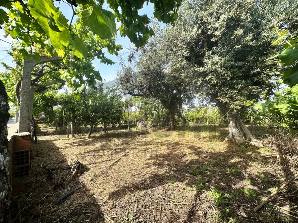 Helårsgrund i Serta, Castelo Branco - foto 4
