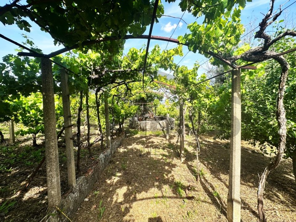 Helårsgrund i Serta, Castelo Branco - foto 5