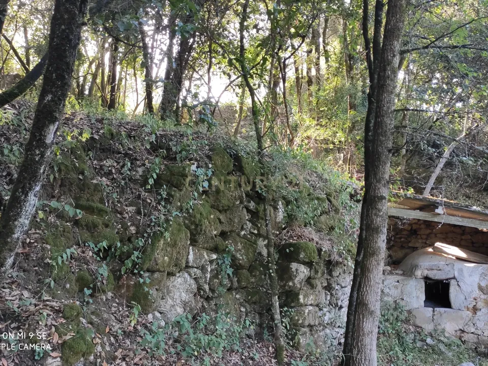 Helårsgrund i Leiria, Leiria - foto 4