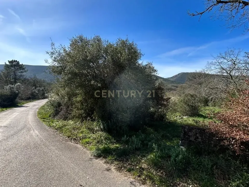 Helårsgrund i Porto de Mos, Leiria - foto 1