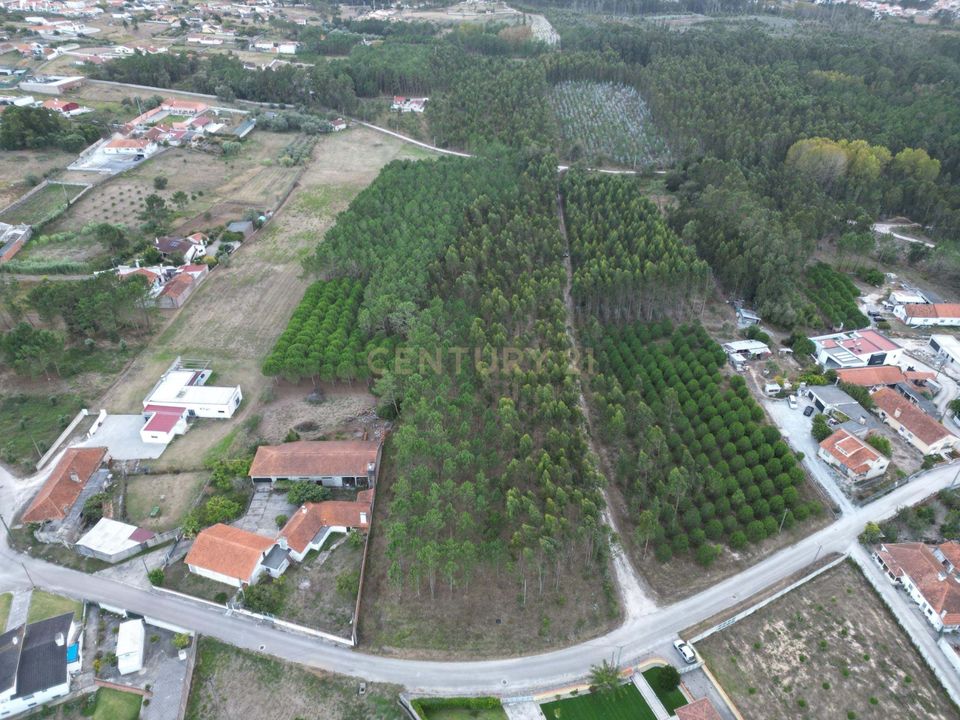 Helårsgrund i Leiria, Leiria - foto 2