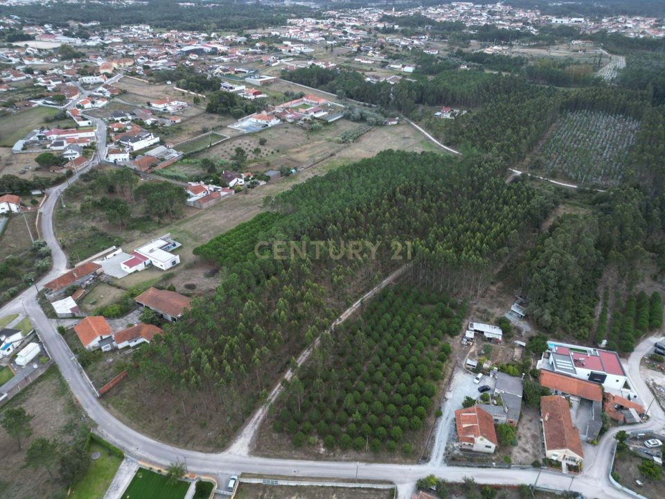 Helårsgrund i Leiria, Leiria - foto 5