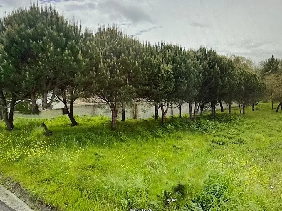 Helårsgrund i Marinha Grande, Leiria - foto 2