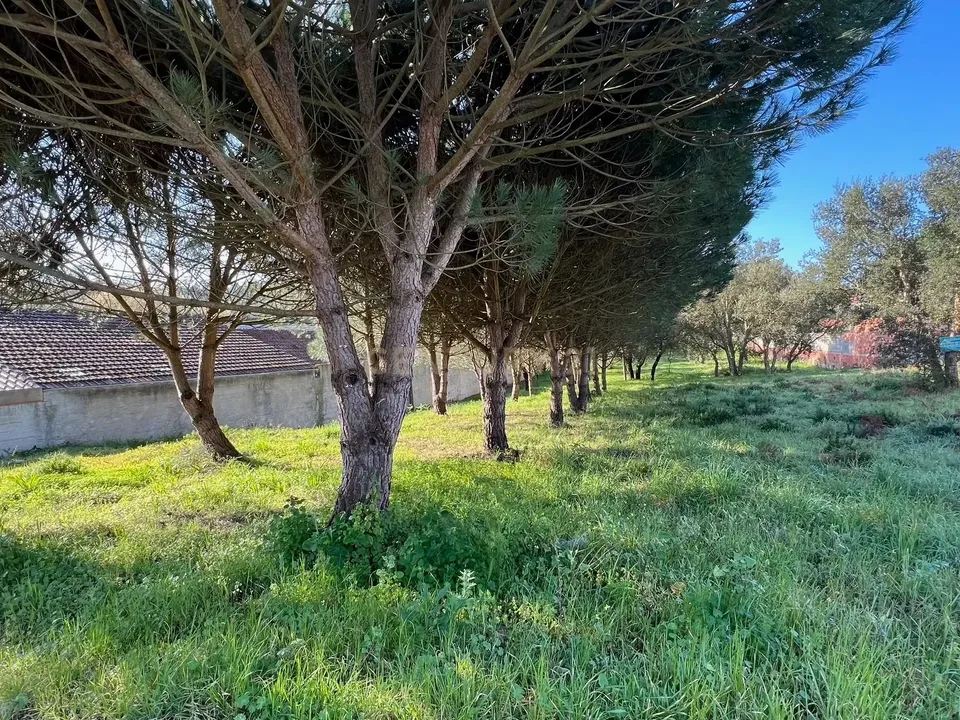 Helårsgrund i Marinha Grande, Leiria - foto 5