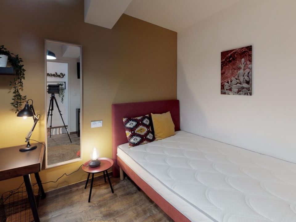 Apartment in Toulouse, Haute-Garonne - photo 5