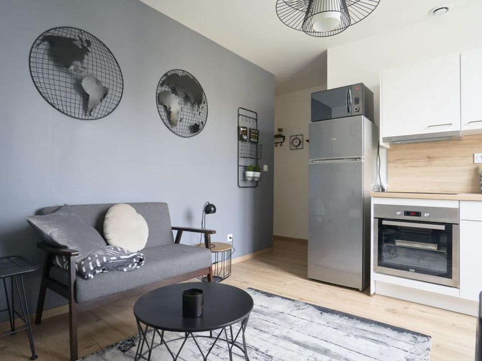 Apartment in Nancy, Meurthe-et-Moselle - photo 3