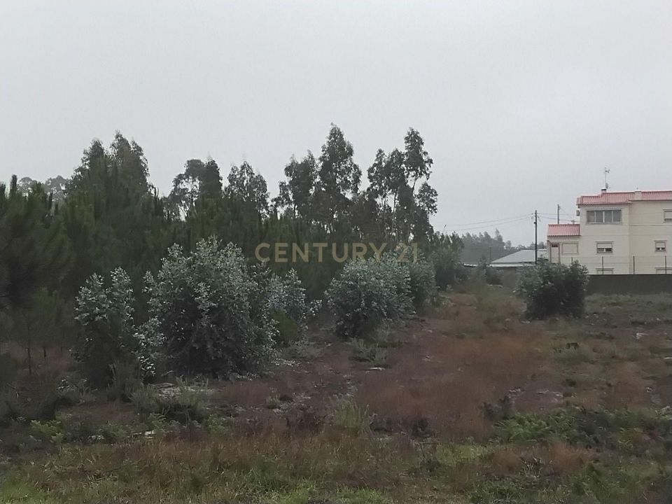 Helårsgrund i Pombal, Leiria - foto 4