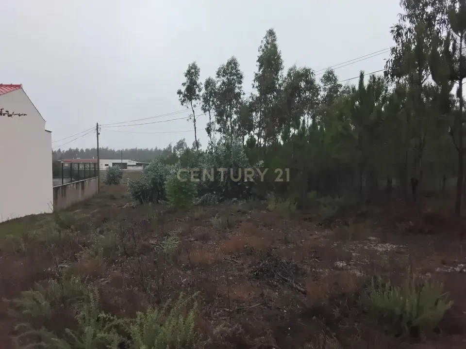 Helårsgrund i Pombal, Leiria - foto 5