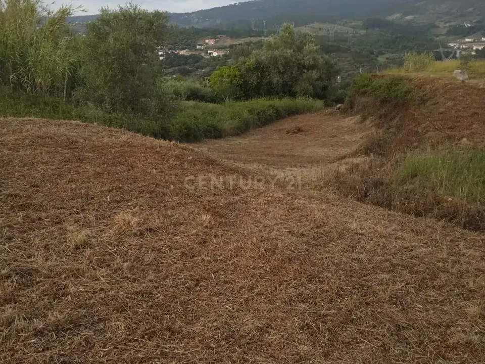 Helårsgrund i Batalha, Leiria - foto 2