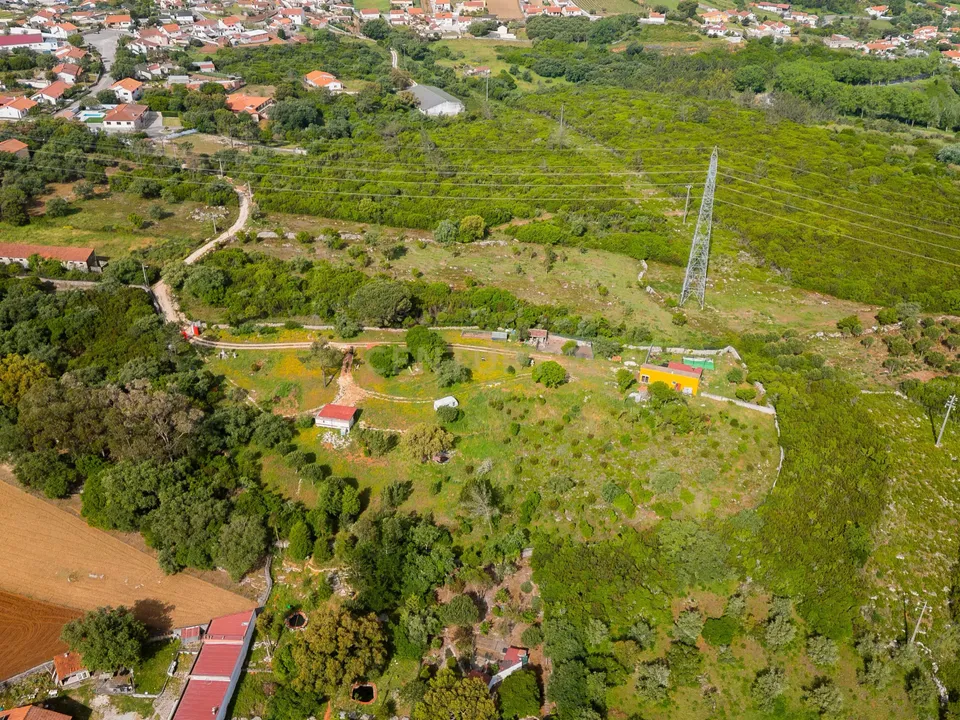 Villa i Alcobaca, Leiria - foto 5