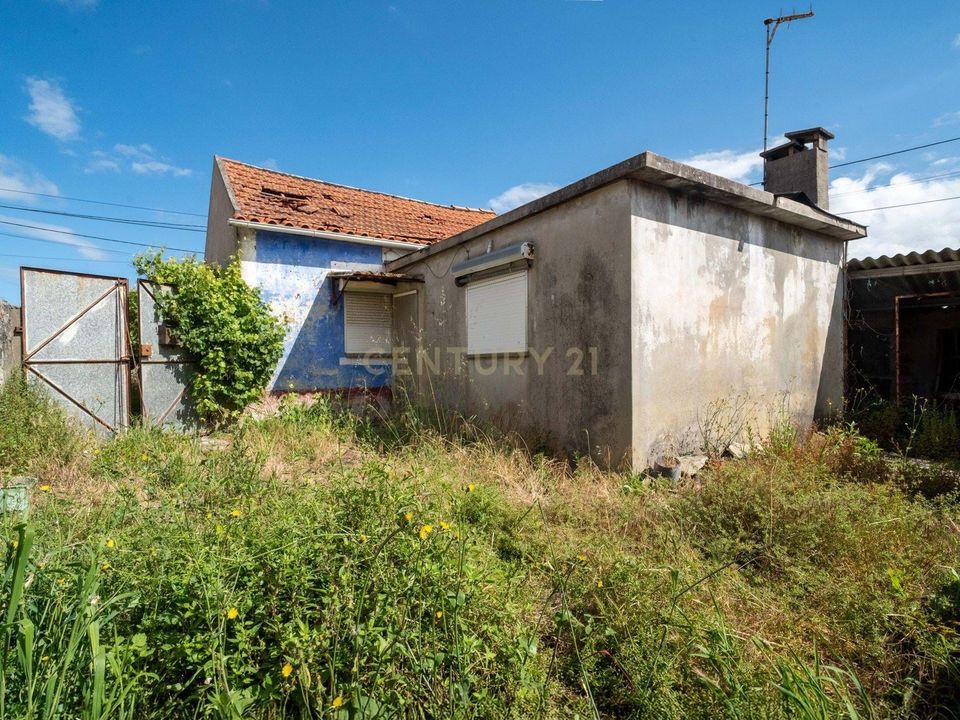 Villa i Marinha Grande, Leiria - foto 5