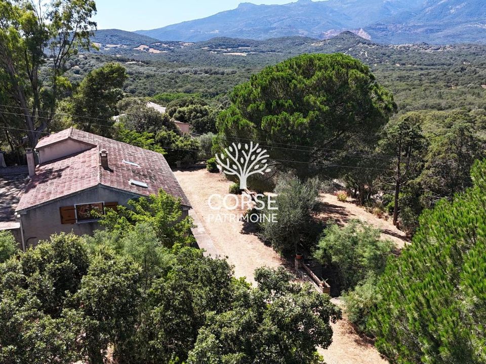 Landsbyhus i Sotta, Corse-du-Sud - foto 3