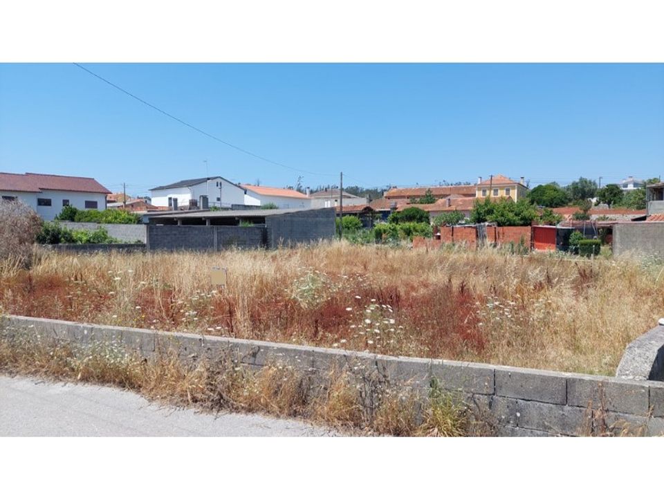 Helårsgrund i Souto da Carpalhosa e Ortigosa, Leiria - foto 1