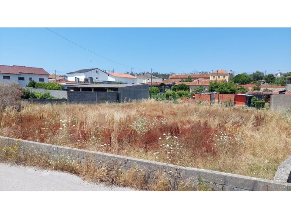 Helårsgrund i Souto da Carpalhosa e Ortigosa, Leiria - foto 5