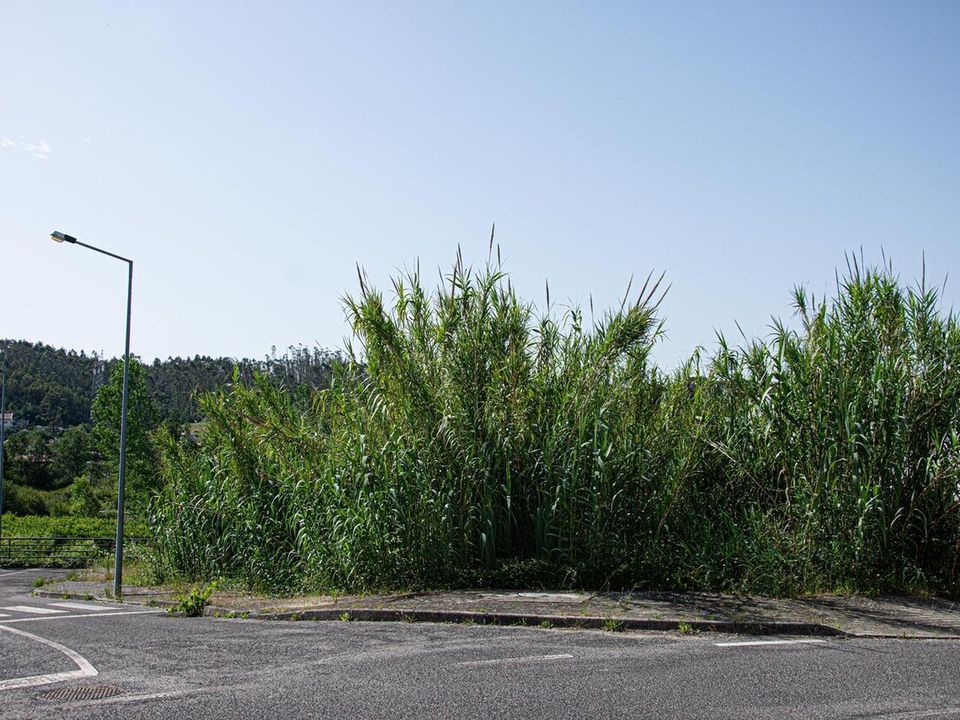Helårsgrund i Leiria, Leiria - foto 3