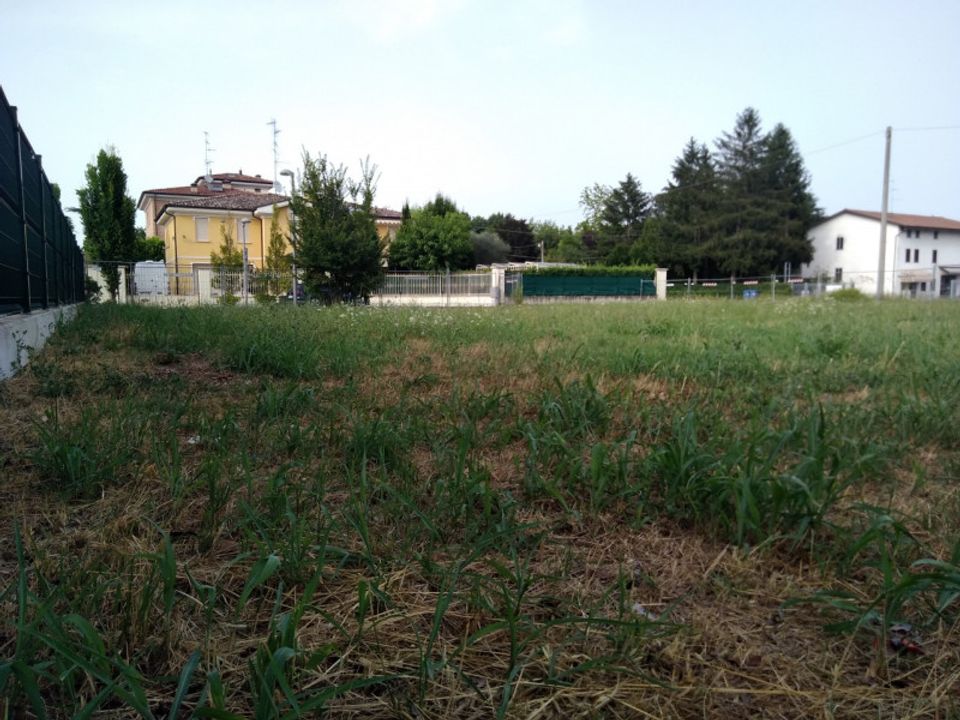 Terra a Carpi, Modena - foto 1