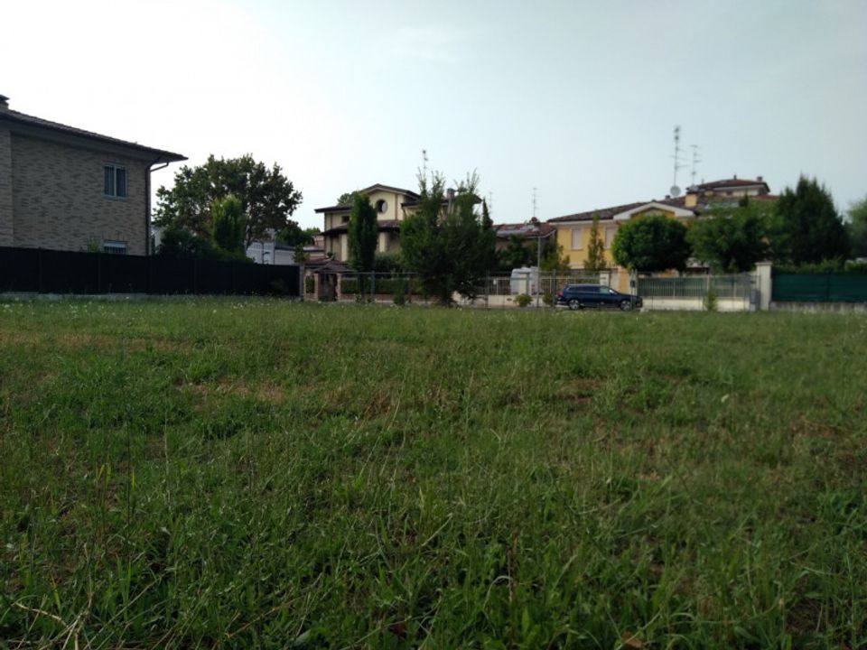 Terra a Carpi, Modena - foto 2