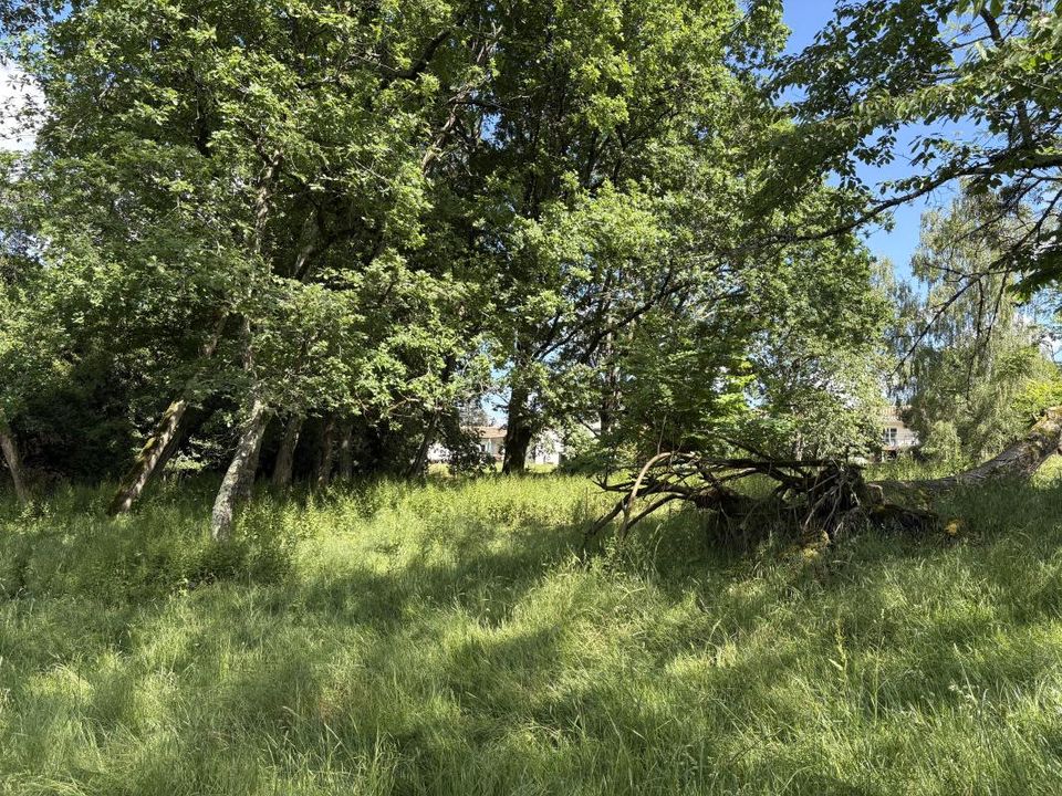 Grundstück in Tresses, Gironde - Foto 2