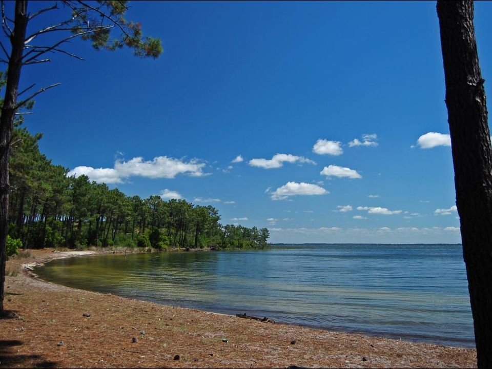 Grond in Hourtin, Gironde - foto 1