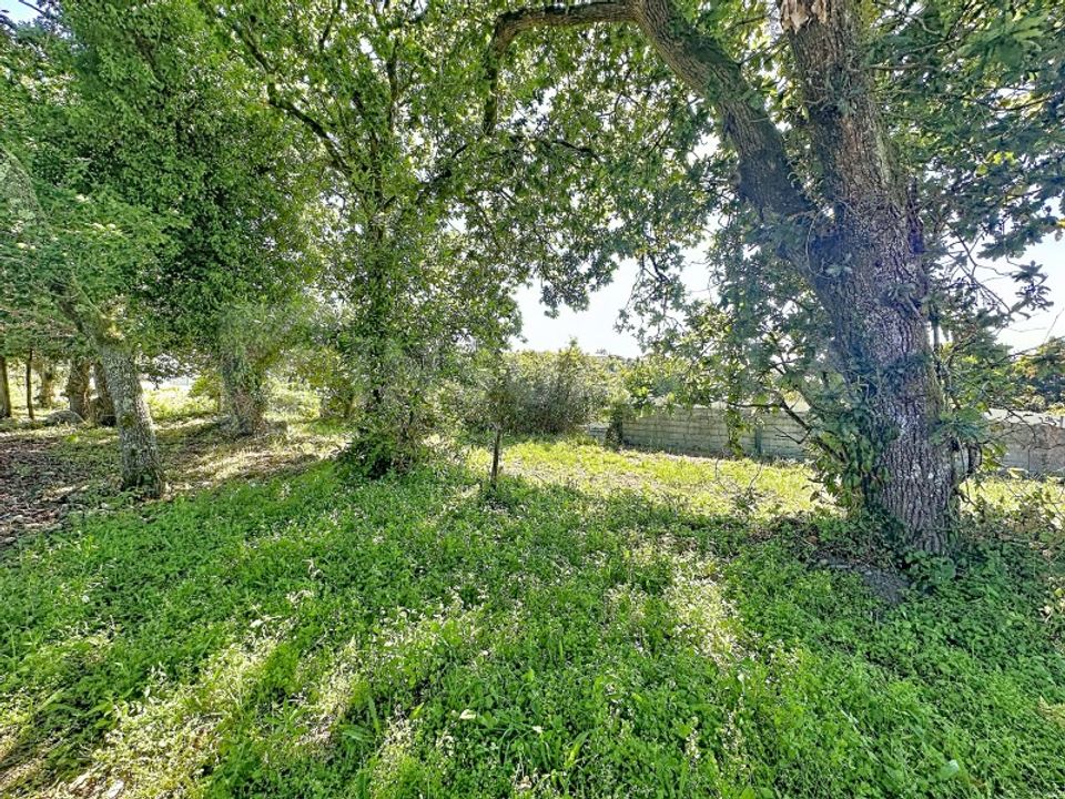 Helårsgrund i Caminha, Viana do Castelo - foto 1