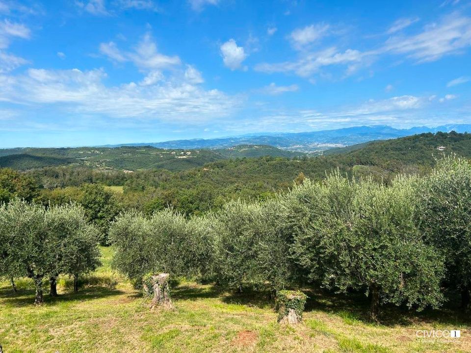 Villa i Villaga, Vicenza - foto 1