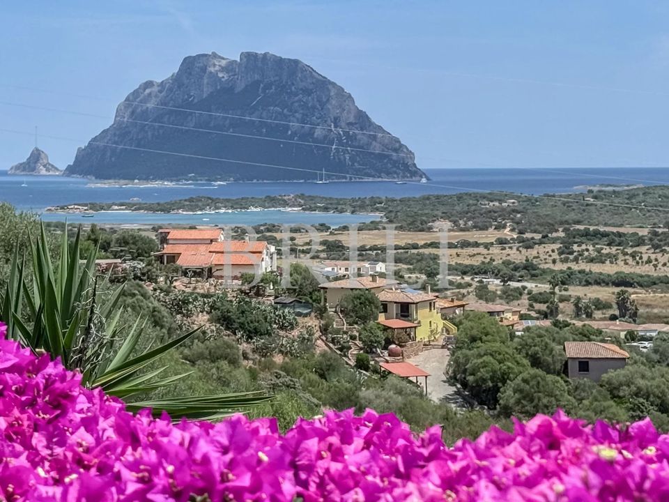 Villa i Loiri Porto San Paolo, Sassari - foto 5