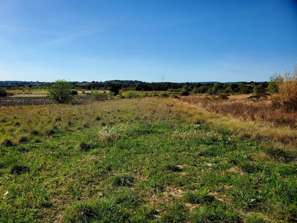 Terra a Loupian, Herault - foto 2