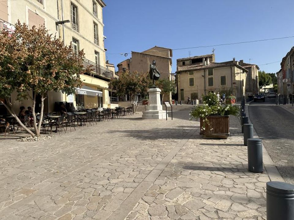 Terra a Cadenet, Vaucluse - foto 4