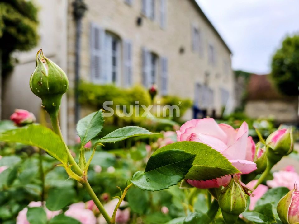 Herregård i Beaune, Cote-d'Or - bilde 1
