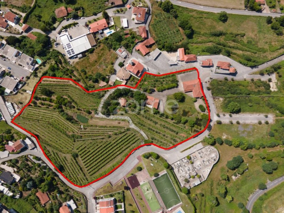 Farm i Braga, Braga - foto 1