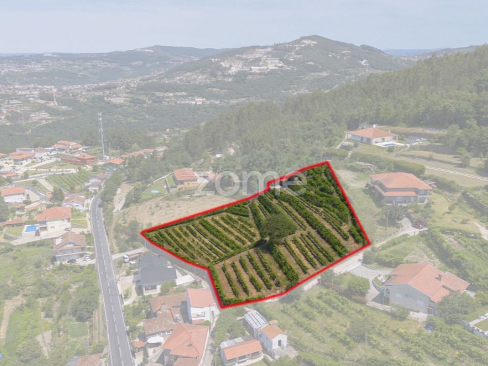 Helårsgrund i Souselo, Viseu - foto 2