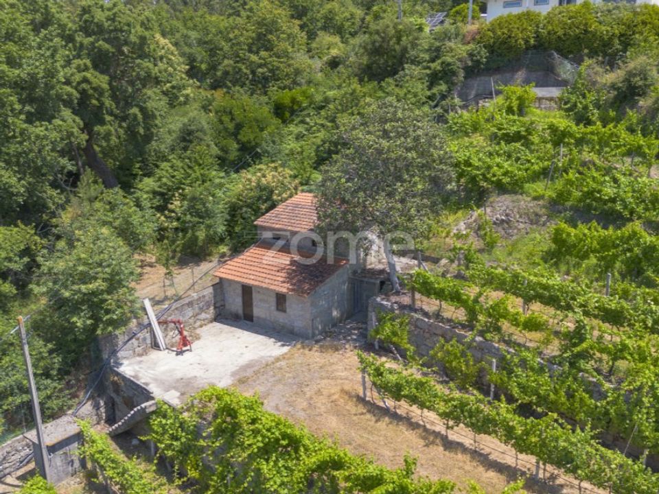 Helårsgrund i Souselo, Viseu - foto 1
