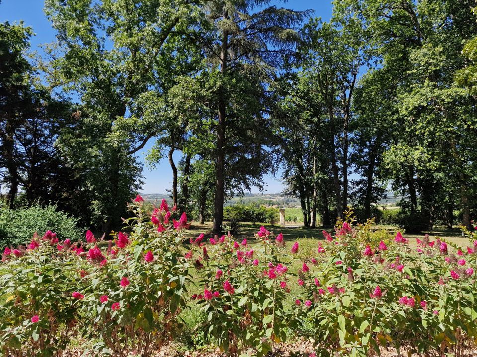 Villa i Sigoulès, Dordogne - foto 2