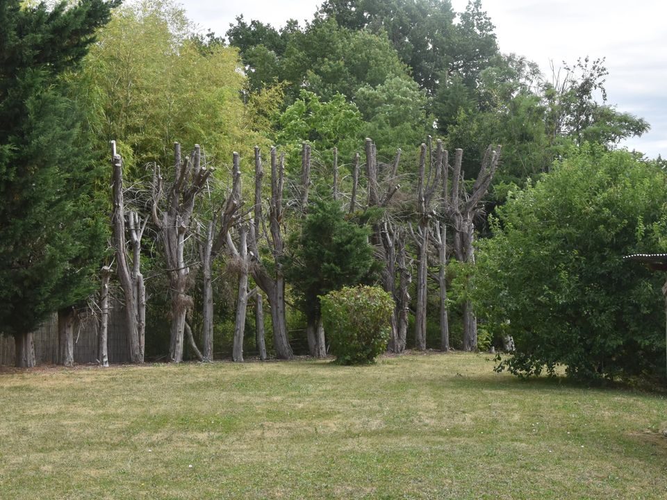 Villa a Bouresse, Vienne - foto 2