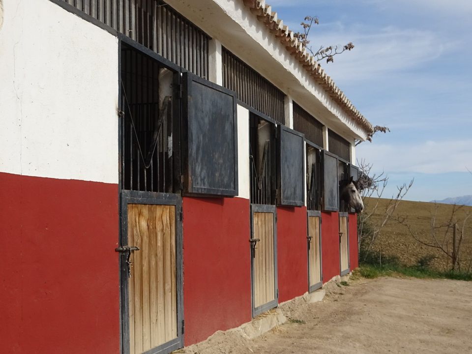 Landejendom i Villanueva De La Concepcion, Malaga - foto 3