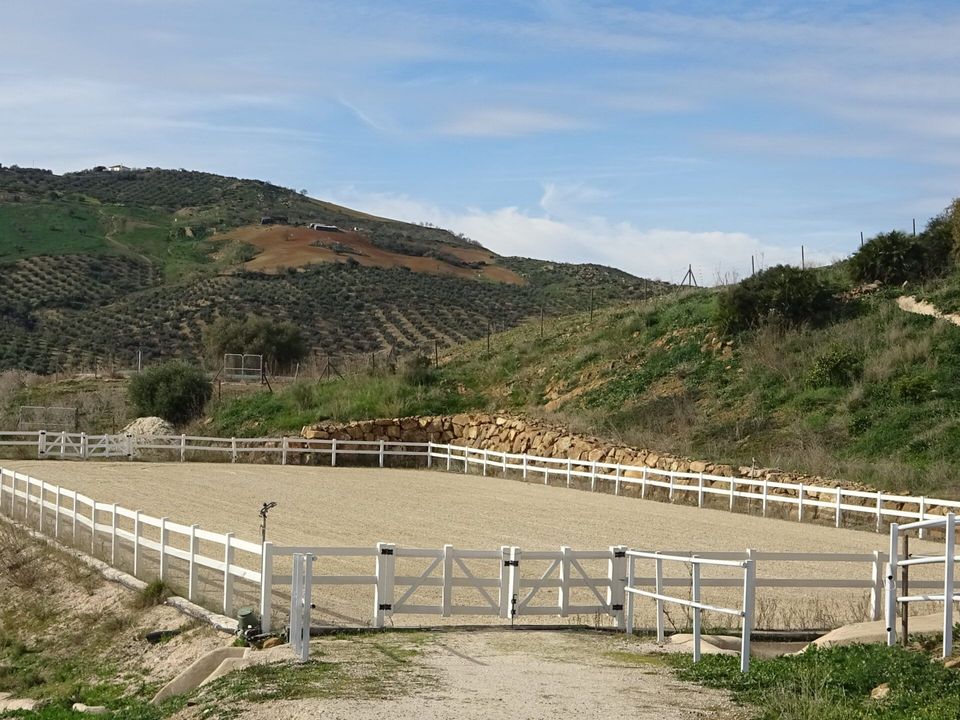 Landejendom i Villanueva De La Concepcion, Malaga - foto 4